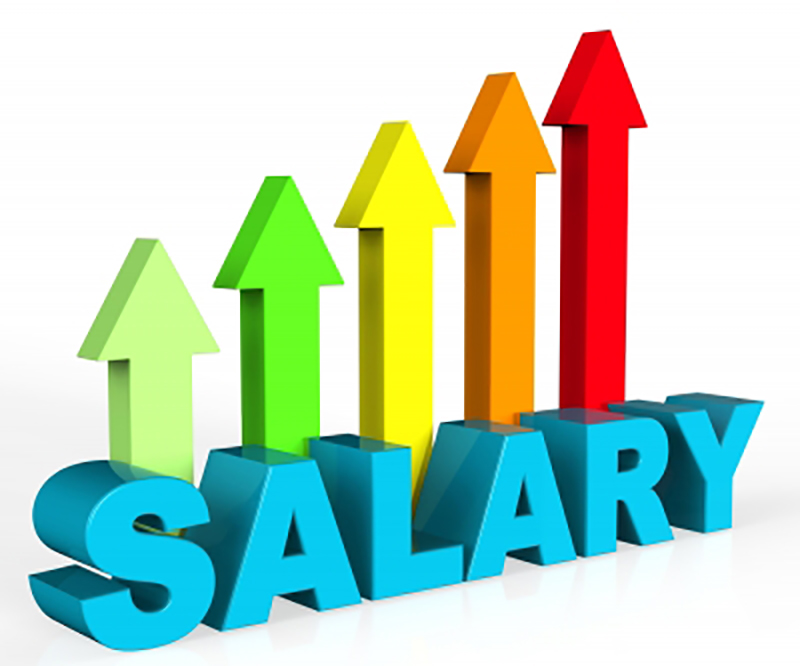 salary-survey-here-s-how-much-you-could-earn-new-scientist